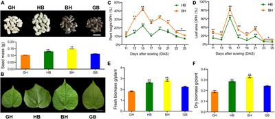 Expression Patterns Divergence of Reciprocal F1 Hybrids Between Gossypium hirsutum and Gossypium barbadense Reveals Overdominance Mediating Interspecific Biomass Heterosis